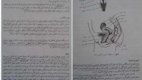 دانلود pdf کتاب بهداشت و تغذیه مادر و کودک پریوش حلم سرشت