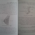 دانلود pdf کتاب بهداشت و تغذیه مادر و کودک پریوش حلم سرشت