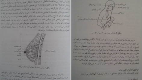دانلود pdf کتاب بهداشت و تغذیه مادر و کودک پریوش حلم سرشت