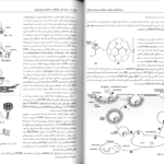 دانلود pdf کتاب زیست شناسی سلولی،مولکولی و مهندسی ژنتیک مجید مهدوی
