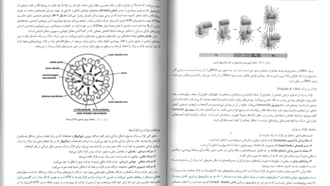 دانلود pdf کتاب زیست شناسی سلولی،مولکولی و مهندسی ژنتیک مجید مهدوی
