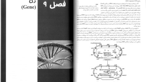 دانلود pdf کتاب زیست شناسی سلولی،مولکولی و مهندسی ژنتیک مجید مهدوی